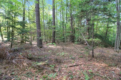 218-039 New Hampshire Route 175, Thornton, NH 03285 - photo 3