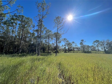 3570 Magnolia Trace, Labelle, FL 33935 - photo 7