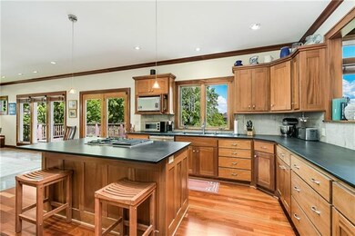 Chef's kitchen with Richlite counters, Jenn-Air mu