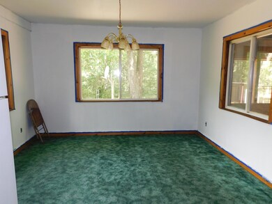 1250 W Woodland Park Dr, Bitely, MI 49309 - photo 7
