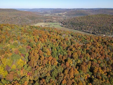 0000 Cr 935, Berryville, AR 72616 - photo 7