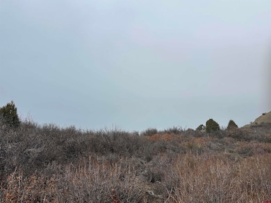 248 Jennifer's Place, Pagosa Springs, CO 81147 - photo 2