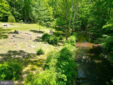 0 Old Hollow Rd unit VARP2001096, Sperryville, VA 22740 - photo 4