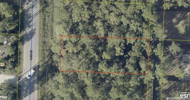 0 S 2nd St unit 989149, Santa Rosa Beach, FL 32459 - photo 2