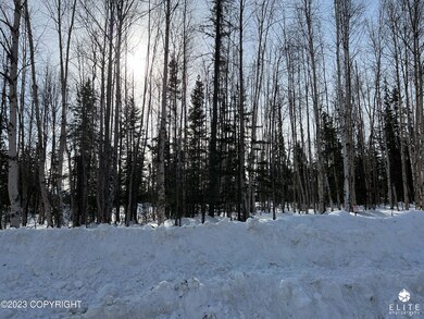 Lots of Trees