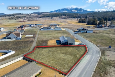 02-2037 ringneck loop-colville