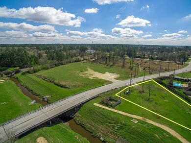 25707 Hanna Rd, Spring, TX 77386 - photo 3