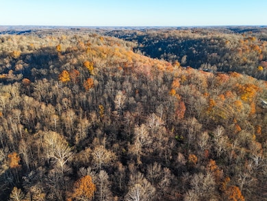 0 Williams Hollow Rd, Crown City, OH 45623 - photo 5