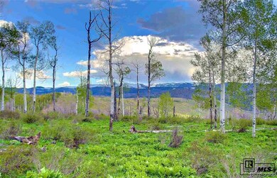 Views of the Continental Divide