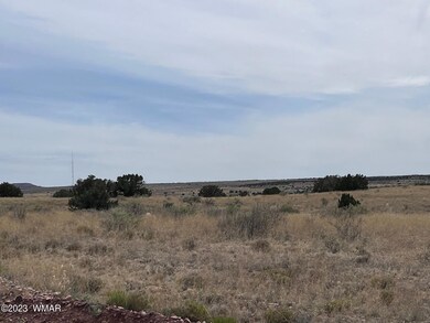 0 Poplar St, Snowflake, AZ 85937 - photo 6