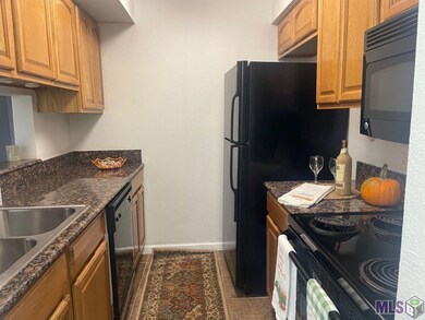 10288 W Winston Ave unit 4, Baton Rouge, LA 70809 - photo 6