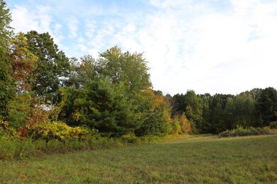 0 Ray Rd unit 11580148, Clifton Park, NY 12148 - photo 5