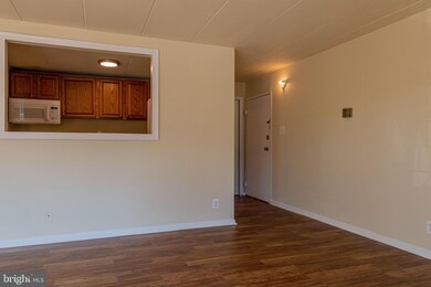 6011 Emerson St unit 213, Bladensburg, MD 20710 - photo 5