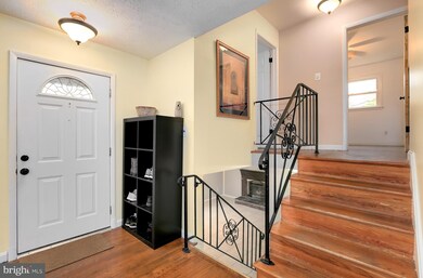 1205 Kathryn Rd, Silver Spring, MD 20904 - photo 3