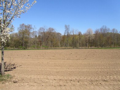 Golden Valley lot 1