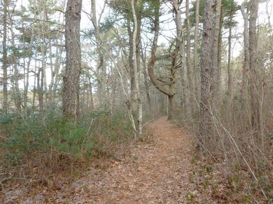 71 Harju Rd, Barnstable, MA 02632 - photo 6