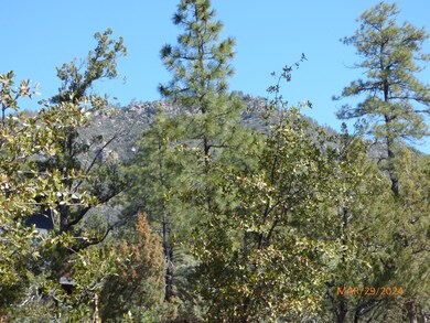 P1030471