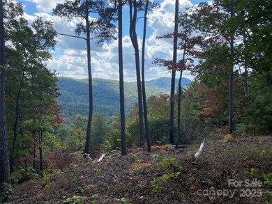 61 Scenic Vista Dr unit 238, Nebo, NC 28761 - photo 5