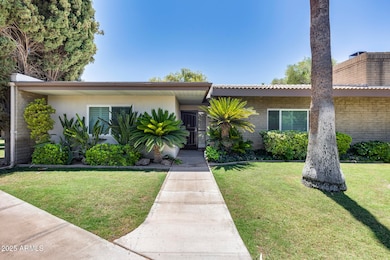 4800 N 68th St unit 223, Scottsdale, AZ 85251 - photo 6