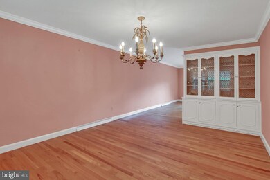 20 Hummingbird Rd, Reading, PA 19610 - photo 5