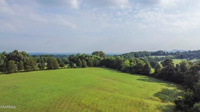 DJI_0351_1