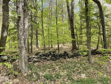 0 Stage Rd unit 72973282, Cummington, MA 01026 - photo 3