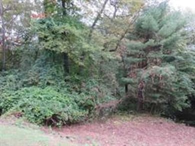 123 Newton St, Weston, MA 02493 - photo 3