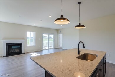 111 Willow Way, Elyria, OH 44035 - photo 5