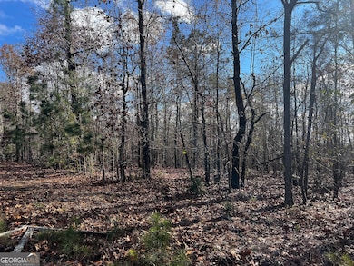 8 & 9 Lassiter Rd, Forsyth, GA 31029 - photo 6