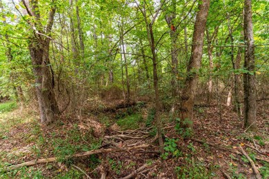 200 Acres Greene 718 and 707 Rd, Paragould, AR 72450 - photo 5