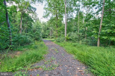 0 Old Ski Lodge Ln unit VARP2001236, Washington, VA 22747 - photo 3