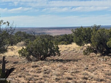 Lot 62 Sierra Highlands Ranch -- unit 62, Saint Johns, AZ 85936 - photo 4