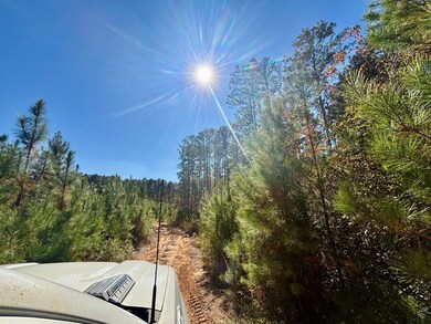 TBD Alabama 131, Bakerhill, AL 36027 - photo 3