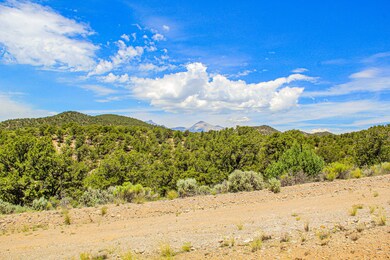 0 Alexandre unit 25553701, Fort Garland, CO 81133 - photo 6