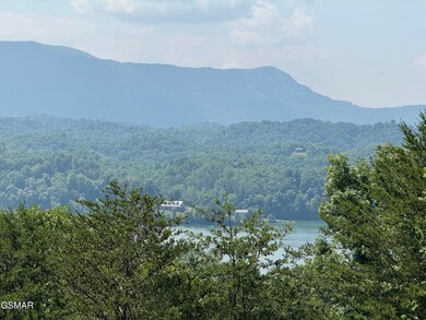 IMG_3070