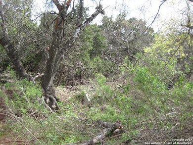 8219 San Fidel Way, Cross Mountain, TX 78255 - photo 5