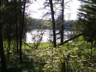 View # 3 Cranberry Lake