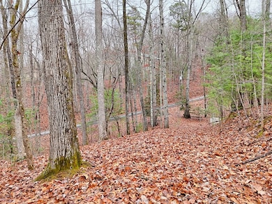 Tract 3 Wilmar Cir, Blairsville, GA 30512 - photo 3