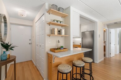 17 Healey St unit 101, Cambridge, MA 02138 - photo 2