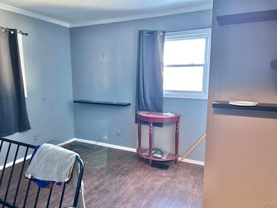 1169 Division St, Adrian, MI 49221 - photo 6