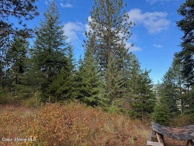 NKA Rd, Tensed, ID 83870 - photo 6