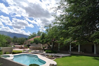 Backyard pool/mountain