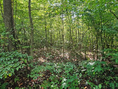 0 Abilene Rd unit 1 57687, Keysville, VA 23947 - photo 7