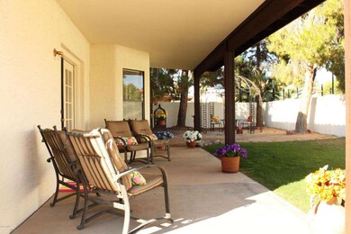 Back Patio