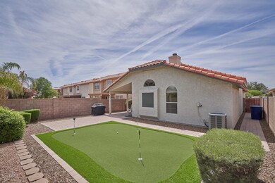 Backyard3