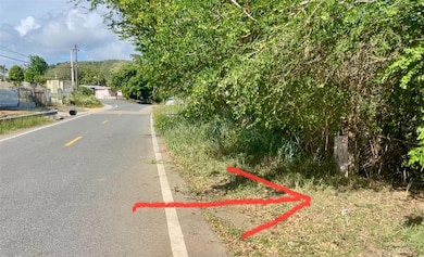 View to East PR 303 at concrete drive entry