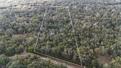 0 Peace River Woods unit 319919, Wauchula, FL 33873 - photo 4