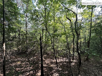 Lot 36E Cascade Run, Purlear, NC 28665 - photo 4