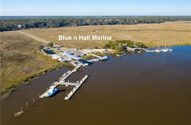 Lot 4 Hudson Creek Ct SE, Darien, GA 31305 - photo 5