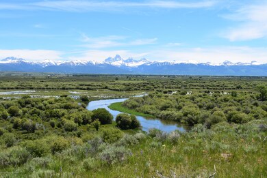 DSC_0063 (1)